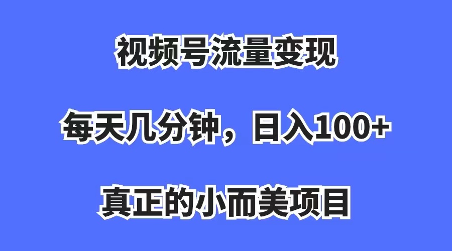 视频号流量变现，每天几分钟，收入100+，真正的小而美项目-点点短视频网