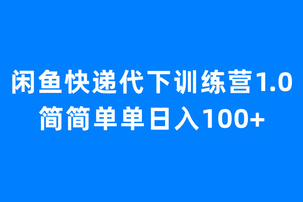 闲鱼快递代下训练营1.0，简简单单日入100+-点点短视频网