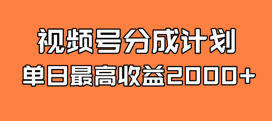 全新蓝海 视频号掘金计划 日入2000+-点点短视频网