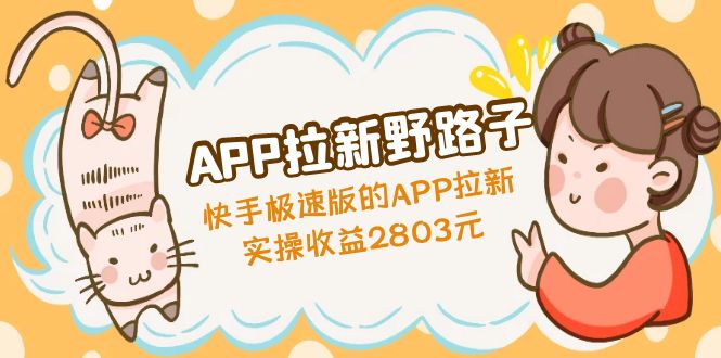 APP拉新野路子：快手极速版的APP拉新赚，实操收益2803元-点点短视频网