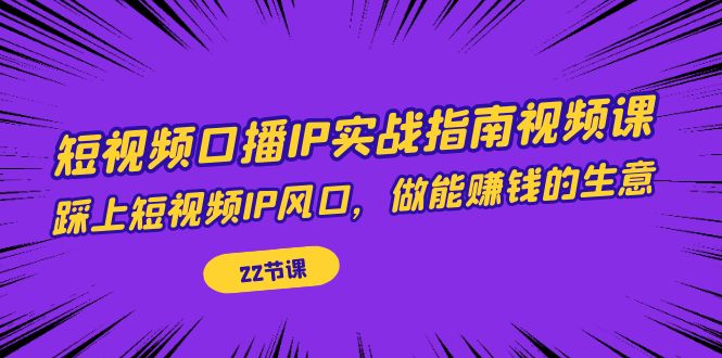 短视频口播IP实战指南视频课，踩上短视频IP风口，做能赚钱的生意（22节课）-点点短视频网