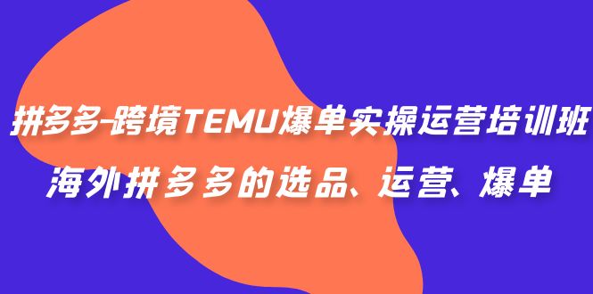 拼多多-跨境TEMU爆单实操运营培训班，海外拼多多的选品、运营、爆单-点点短视频网