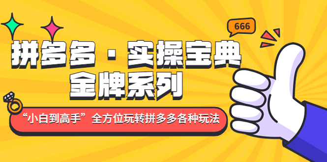 拼多多·实操宝典：金牌系列“小白到高手”带你全方位玩转拼多多各种玩法-点点短视频网