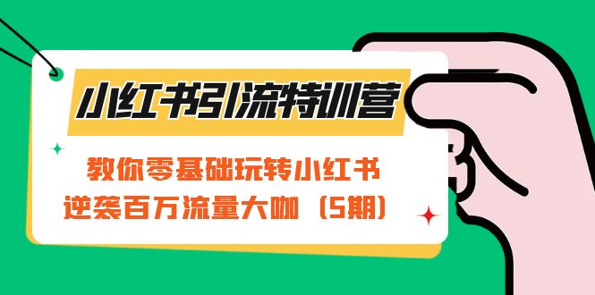 小红书引流特训营-第5期：教你零基础玩转小红书，逆袭百万流量大咖-点点短视频网