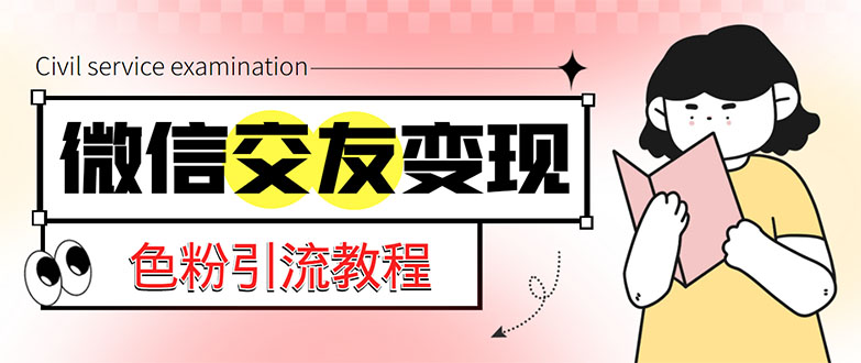 微信交友变现项目，吸引全网LSP男粉精准变现，小白也能轻松上手，日入500+-点点短视频网