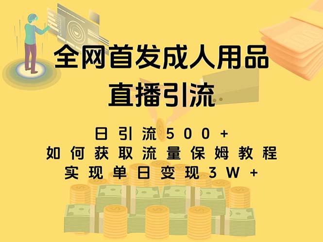 最新全网独创首发，成人用品直播引流获客暴力玩法，单日变现3w保姆级教程-点点短视频网