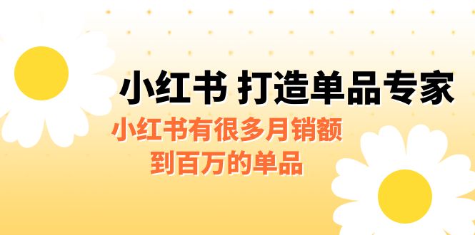 某公众号付费文章《小红书 打造单品专家》小红书有很多月销额到百万的单品-点点短视频网