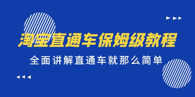 淘宝直通车保姆级教程，全面讲解直通车就那么简单！-点点短视频网