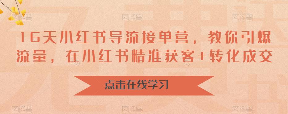 16天-小红书 导流接单营，教你引爆流量，在小红书精准获客+转化成交-点点短视频网