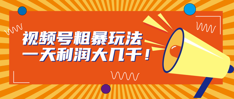 视频号粗暴玩法，一天利润大几千！-点点短视频网