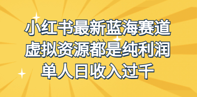 外面收费1980的小红书最新蓝海赛道，虚拟资源都是纯利润，单人日收入过千-点点短视频网