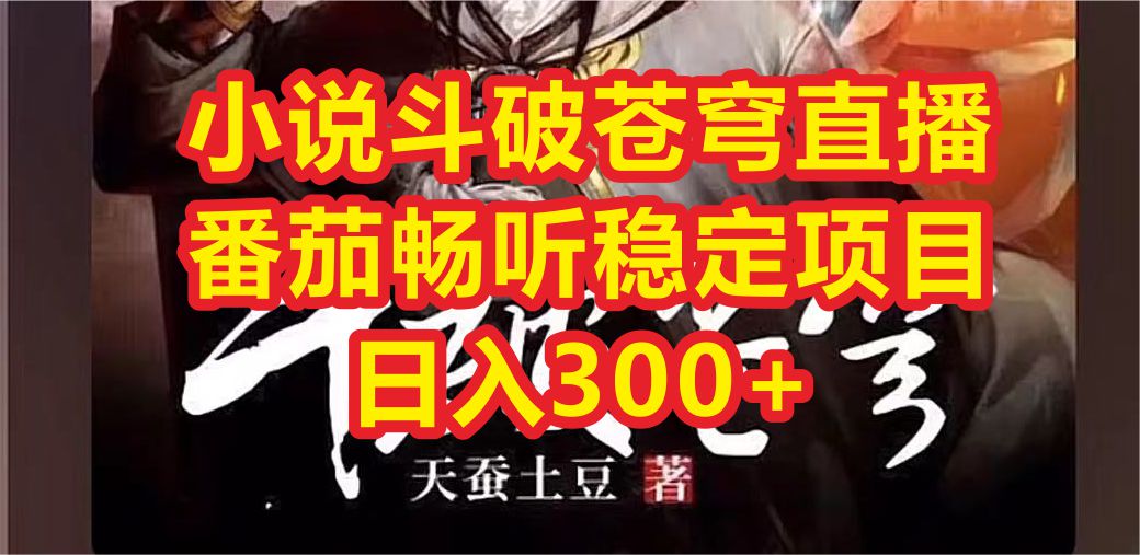 小说斗破苍穹直播，番茄畅听日入300+稳定项目-点点短视频网