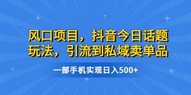 风口项目，抖音今日话题玩法，引流到私域卖单品，一部手机实现日入500+-点点短视频网
