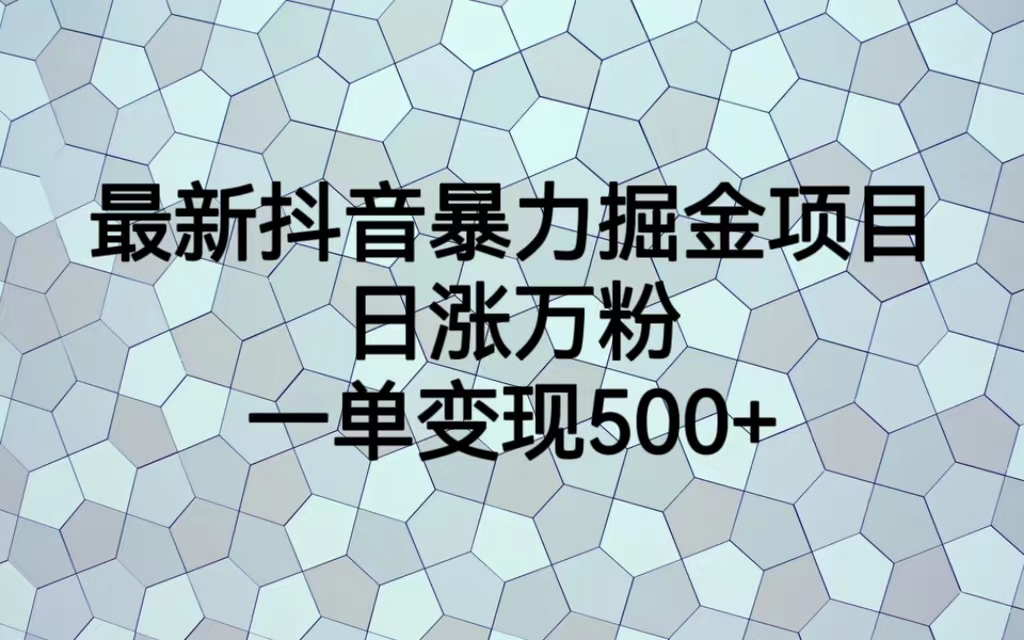 最新抖音暴力掘金项目，日涨万粉，一单变现500+-点点短视频网