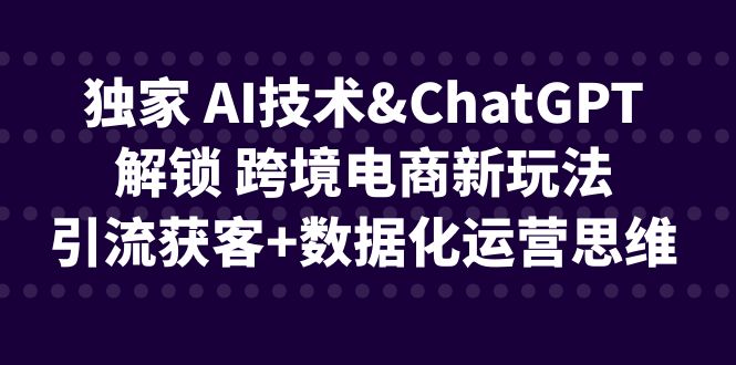 独家 AI技术&ChatGPT解锁 跨境电商新玩法，引流获客+数据化运营思维-点点短视频网