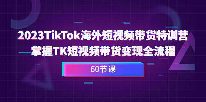 2023-TikTok海外短视频带货特训营，掌握TK短视频带货变现全流程（60节课）-点点短视频网
