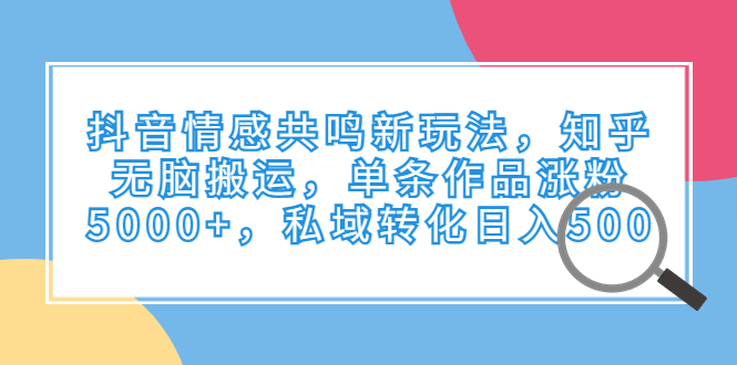 抖音情感共鸣新玩法，知乎无脑搬运，单条作品涨粉5000+，私域转化日入500-点点短视频网