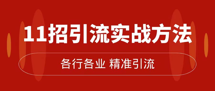 精准引流术：11招引流实战方法，让你私域流量加到爆（11节课完整版）-点点短视频网