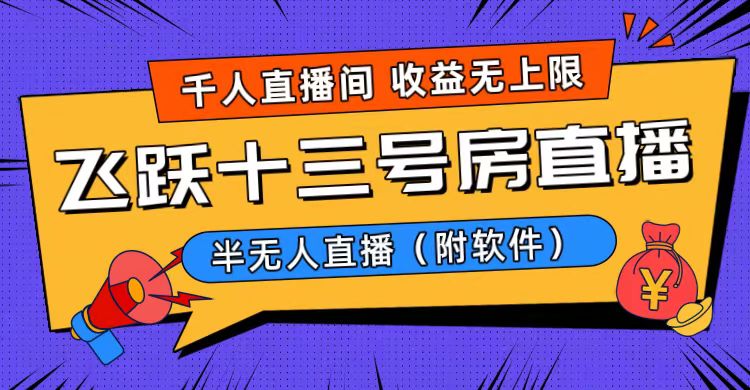 爆火飞跃十三号房半无人直播，一场直播上千人，日入过万！（附软件）-点点短视频网