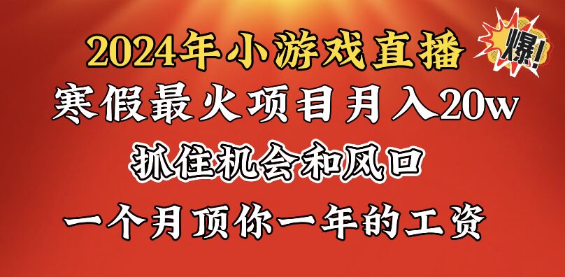 2024年寒假爆火项目，小游戏直播月入20w+，学会了之后你将翻身-点点短视频网