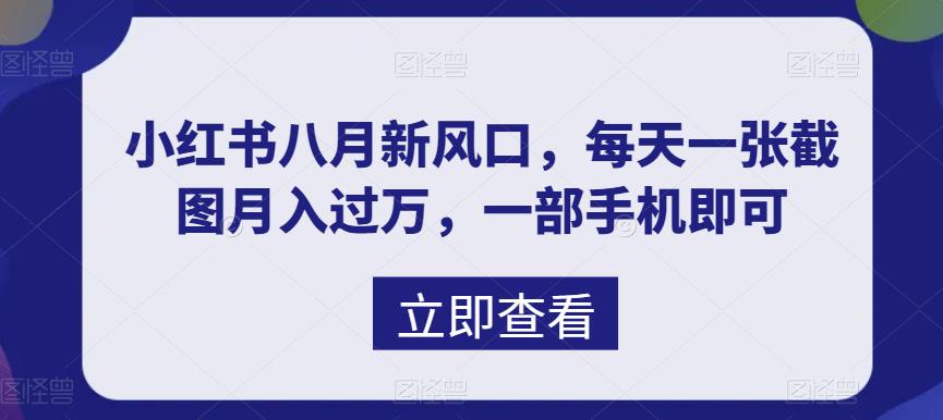八月新风口，小红书虚拟项目一天收入1000+，实战揭秘-点点短视频网