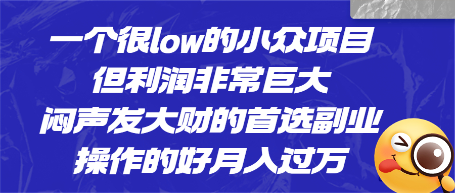 一个很low的小众项目，但利润非常巨大，闷声发大财的首选副业，月入过万-点点短视频网