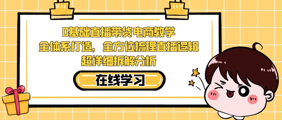 0基础直播带货电商教学：全体系打造，全方位梳理直播逻辑，超详细拆解分析-点点短视频网