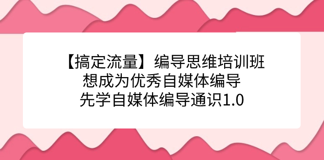 【搞定流量】编导思维培训班，想成为优秀自媒体编导先学自媒体编导通识1.0-点点短视频网