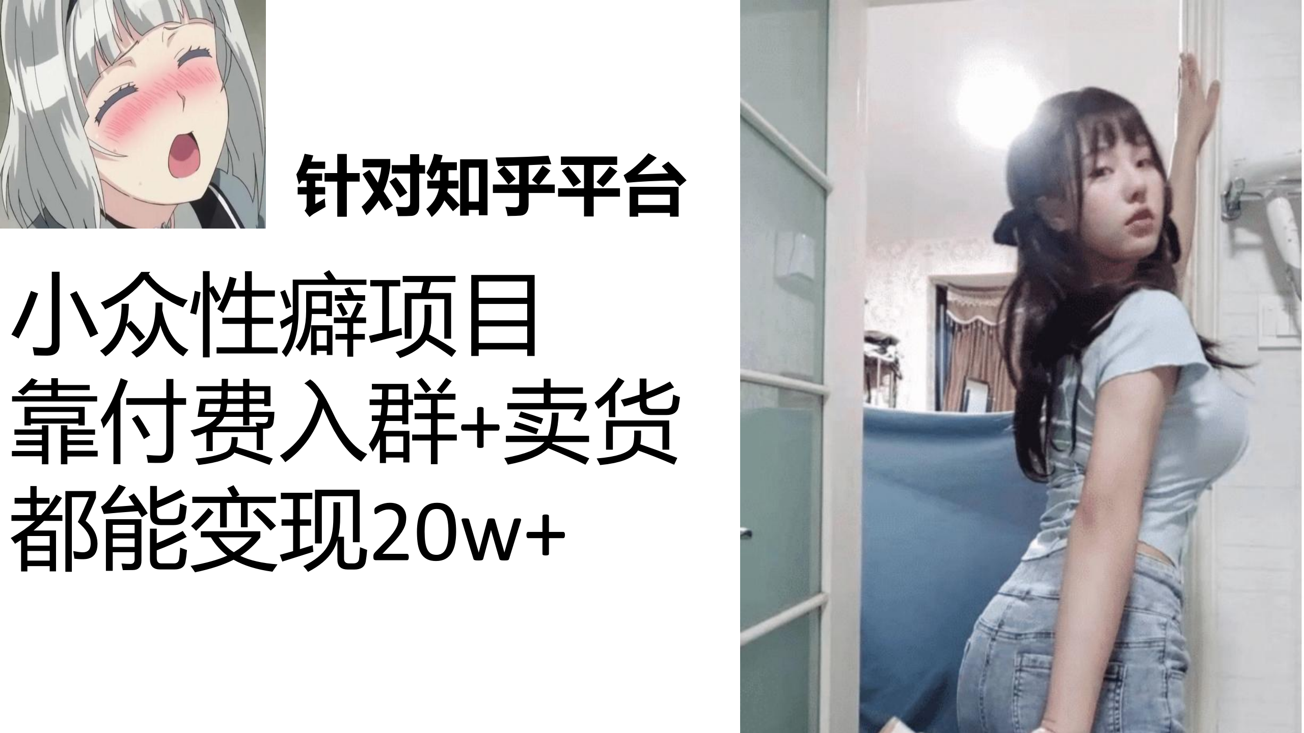 知乎小众性癖项目，Lsp的钱才是最好赚的，付费建群+卖货变现20w-点点短视频网