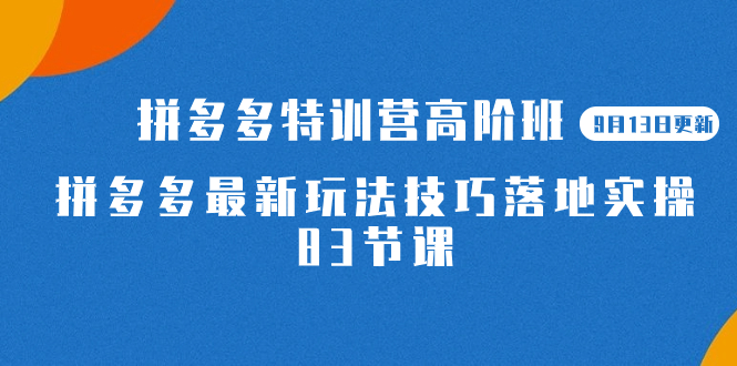 2023拼多多·特训营高阶班【9月19日更新】拼多多最新玩法技巧落地实操-83节-点点短视频网