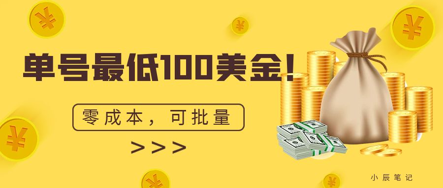 单号最低100美金，零成本，小白无脑操作。可复制，可扩大。-点点短视频网