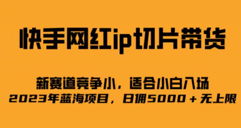 快手网红ip切片新赛道，竞争小事，适合小白 2023蓝海项目-点点短视频网