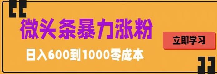 微头条暴力涨粉技巧搬运文案就能涨几万粉丝，简单0成本，日赚600-点点短视频网