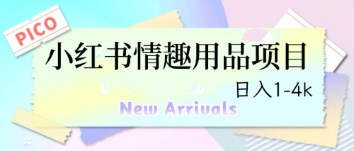 最新小红书情趣用品项目，日入1-4k-点点短视频网