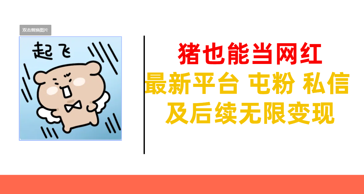 猪也能当网红-最新平台 屯粉 交流 私信 及后续无限变现-点点短视频网