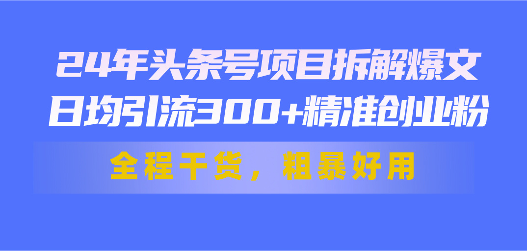 24年头条号项目拆解爆文，日均引流300+精准创业粉，全程干货，粗暴好用-点点短视频网