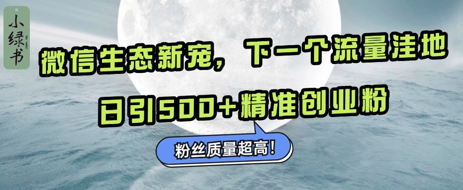 微信生态新宠小绿书：下一个流量洼地，粉丝质量超高，日引500+精准创业粉，-点点短视频网