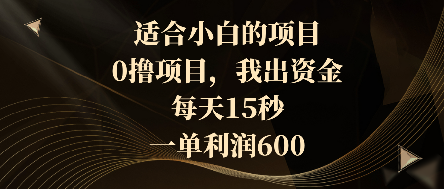 适合小白的项目，0撸项目，我出资金，每天15秒，一单利润600-点点短视频网