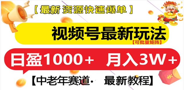 视频号独家玩法，老年养生赛道，无脑搬运爆款视频，日入1000+-点点短视频网
