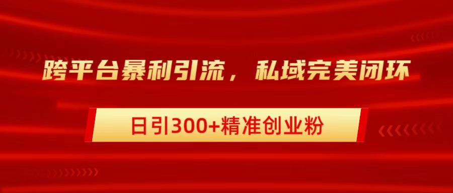 跨平台暴力引流，私域完美闭环，日引300+精准创业粉-点点短视频网