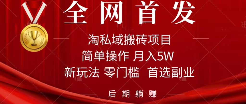 淘私域搬砖项目，利用信息差月入5W，每天无脑操作1小时，后期躺赚-点点短视频网