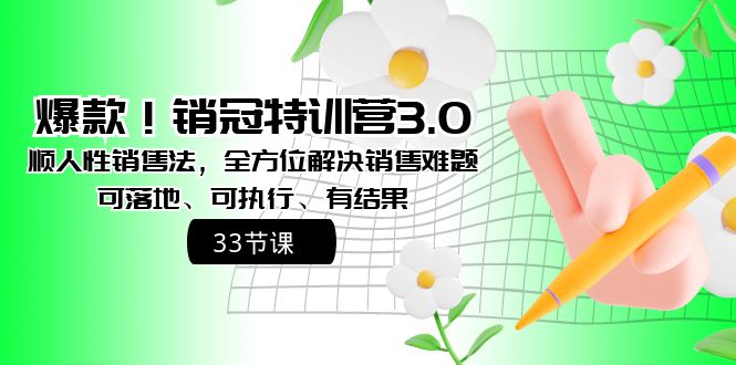爆款！销冠特训营3.0之顺人性销售法，全方位解决销售难题、可落地-点点短视频网