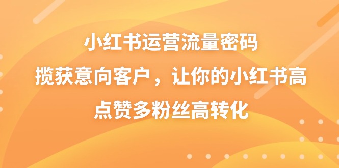 小红书运营流量密码，揽获意向客户，让你的小红书高点赞多粉丝高转化-点点短视频网