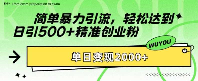 简单暴力引流轻松达到日引500+精准创业粉，单日变现2k【揭秘】-点点短视频网