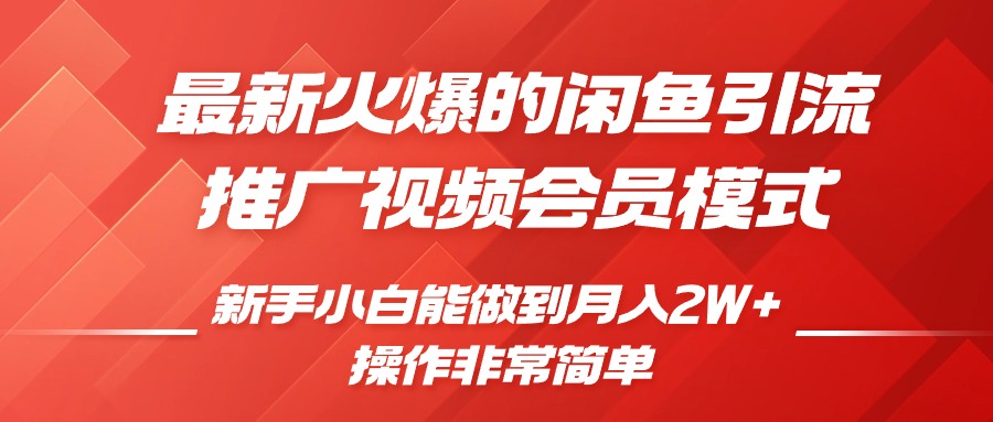 最新火爆的闲鱼引流推广视频会员，新手小白能做到月入2W+-点点短视频网
