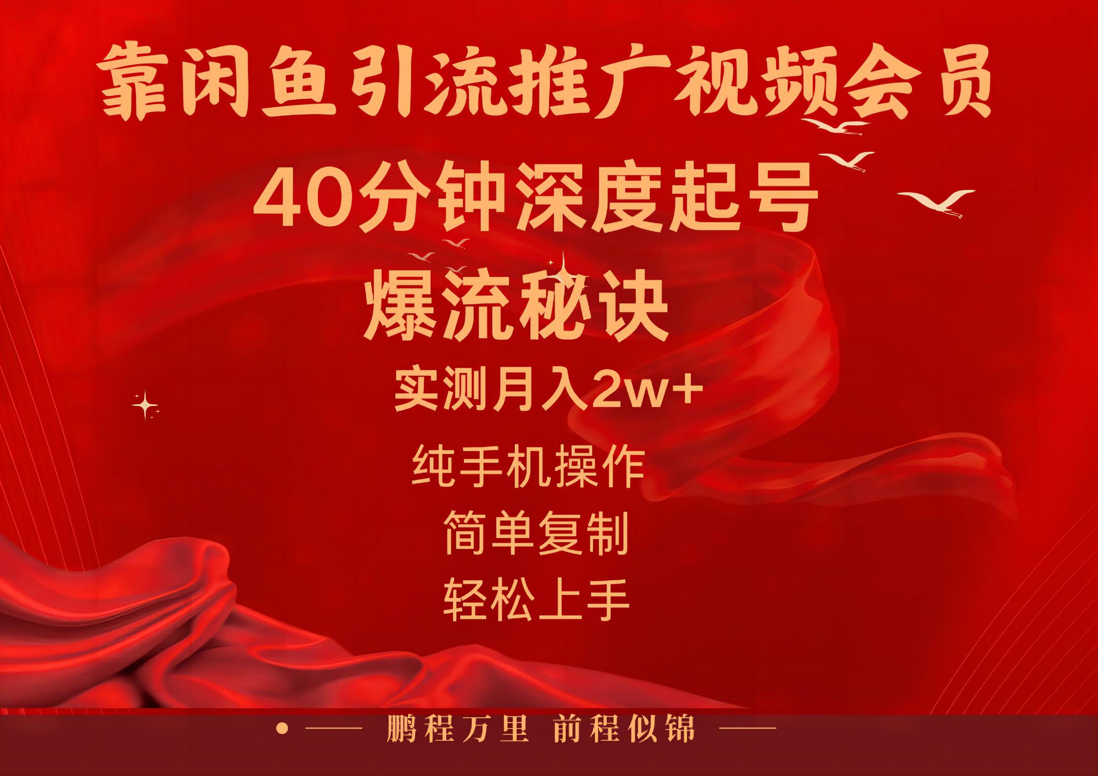 闲鱼暴力引流推广视频会员，能做到日入2W+，操作简单-点点短视频网
