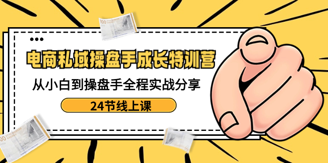 电商私域-操盘手成长特训营：从小白到操盘手全程实战分享-24节线上课-点点短视频网