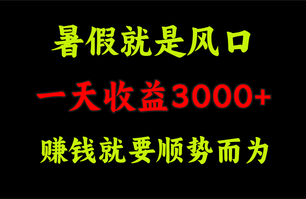 一天收益3000+ 赚钱就是顺势而为，暑假就是风口-点点短视频网