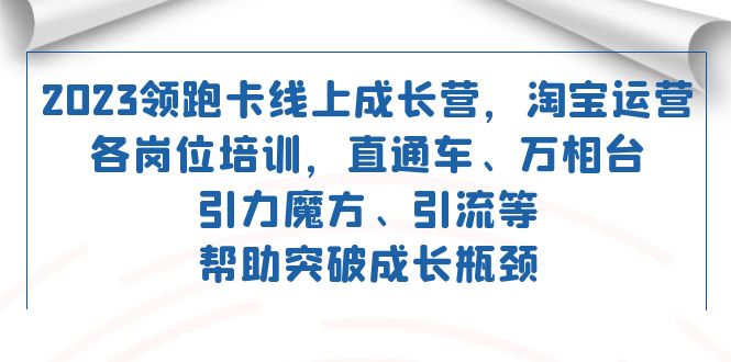 2023领跑·卡 线上成长营 淘宝运营各岗位培训 直通车 万相台 引力魔方 引流-点点短视频网