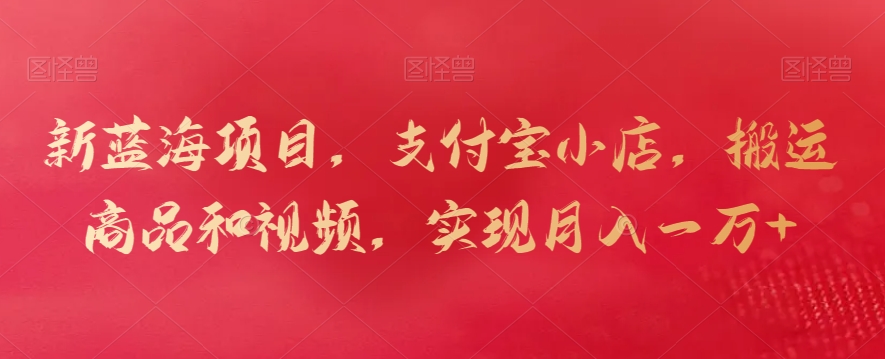 新蓝海项目，支付宝小店，搬运商品和视频，实现月入一万+-点点短视频网